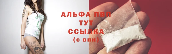 мескалин Богданович