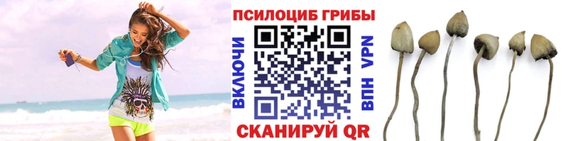 купить наркотики сайты  Краснокаменск  мега зеркало  Галлюциногенные грибы GOLDEN TEACHER 